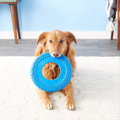 Pet Playing Disc soft Silicon toy