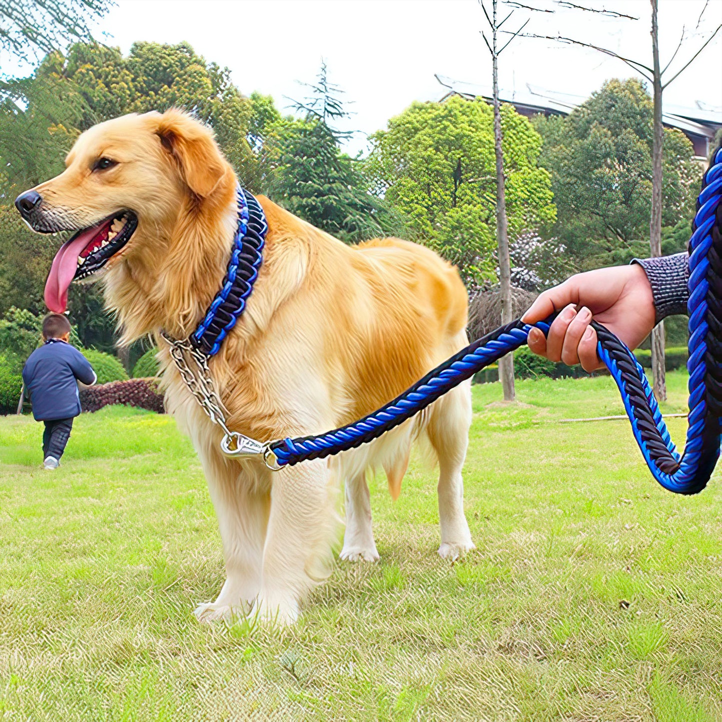 Heavy Duty Pet Leash with collar with smart Opening