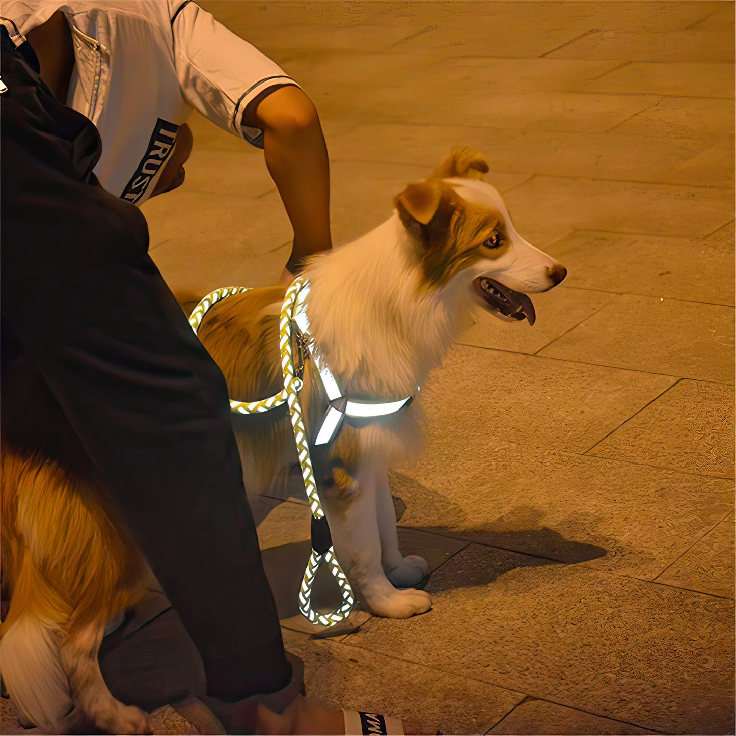 Reflective leash