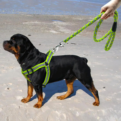 Reflective leash