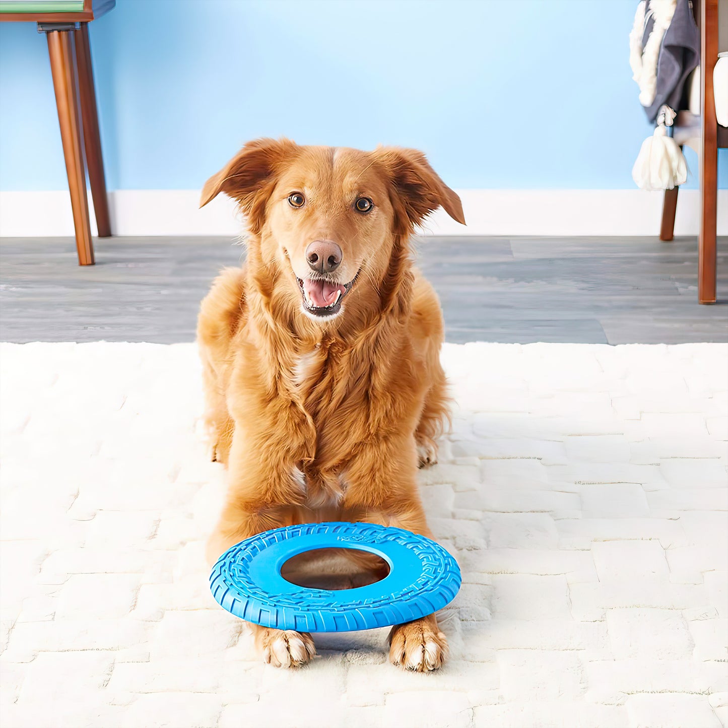 Pet Playing Disc soft Silicon toy