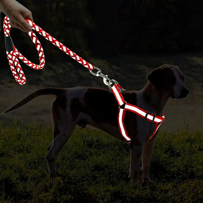 Reflective leash