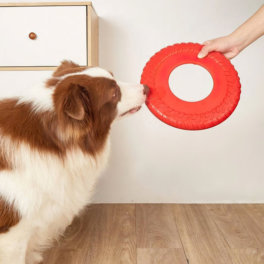 Pet Playing Disc soft Silicon toy