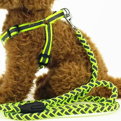 Reflective leash