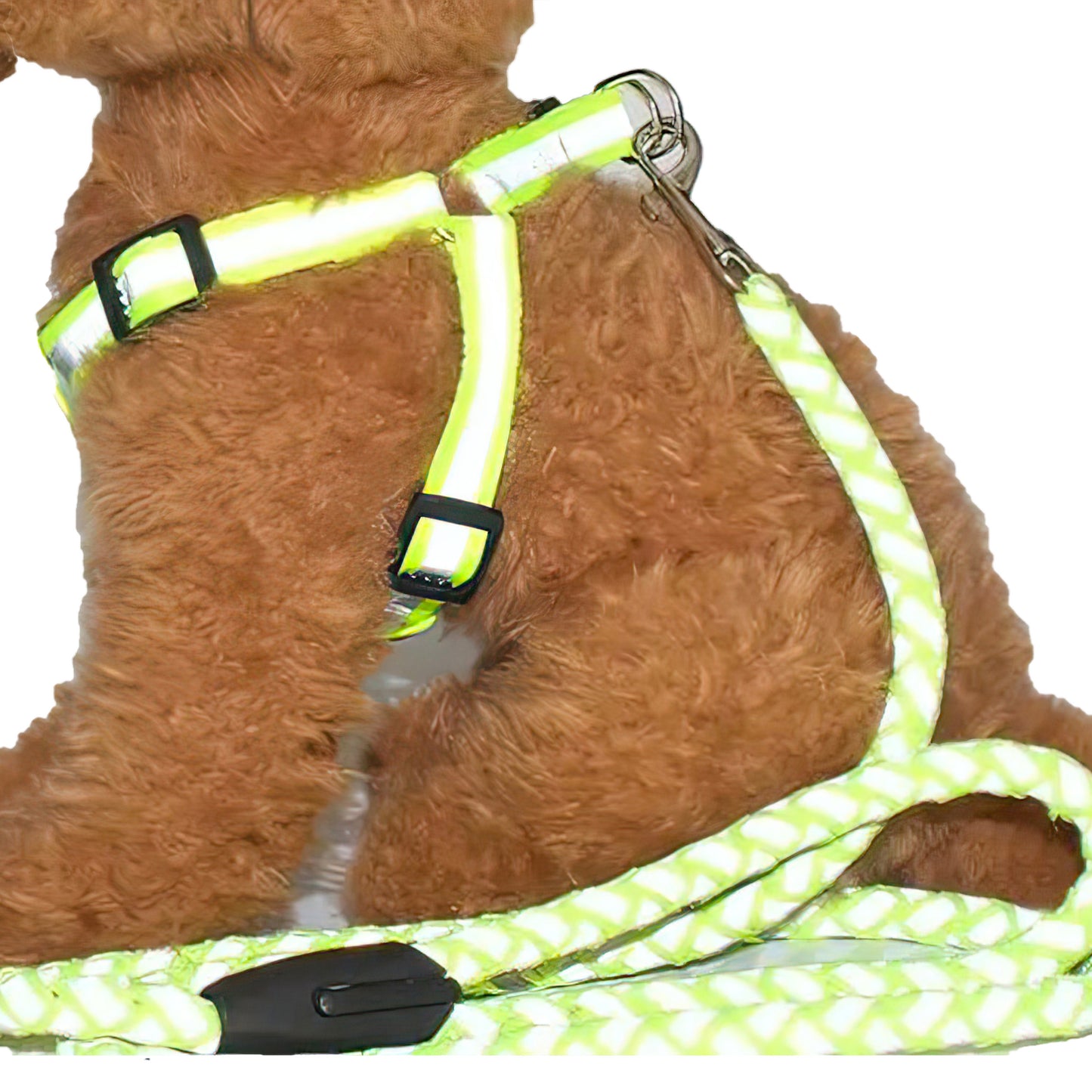 Reflective leash