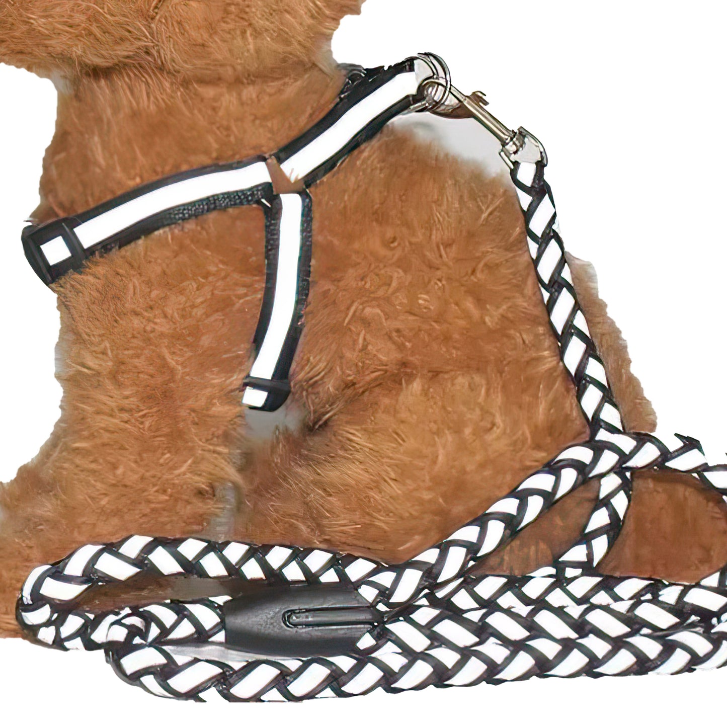 Reflective leash